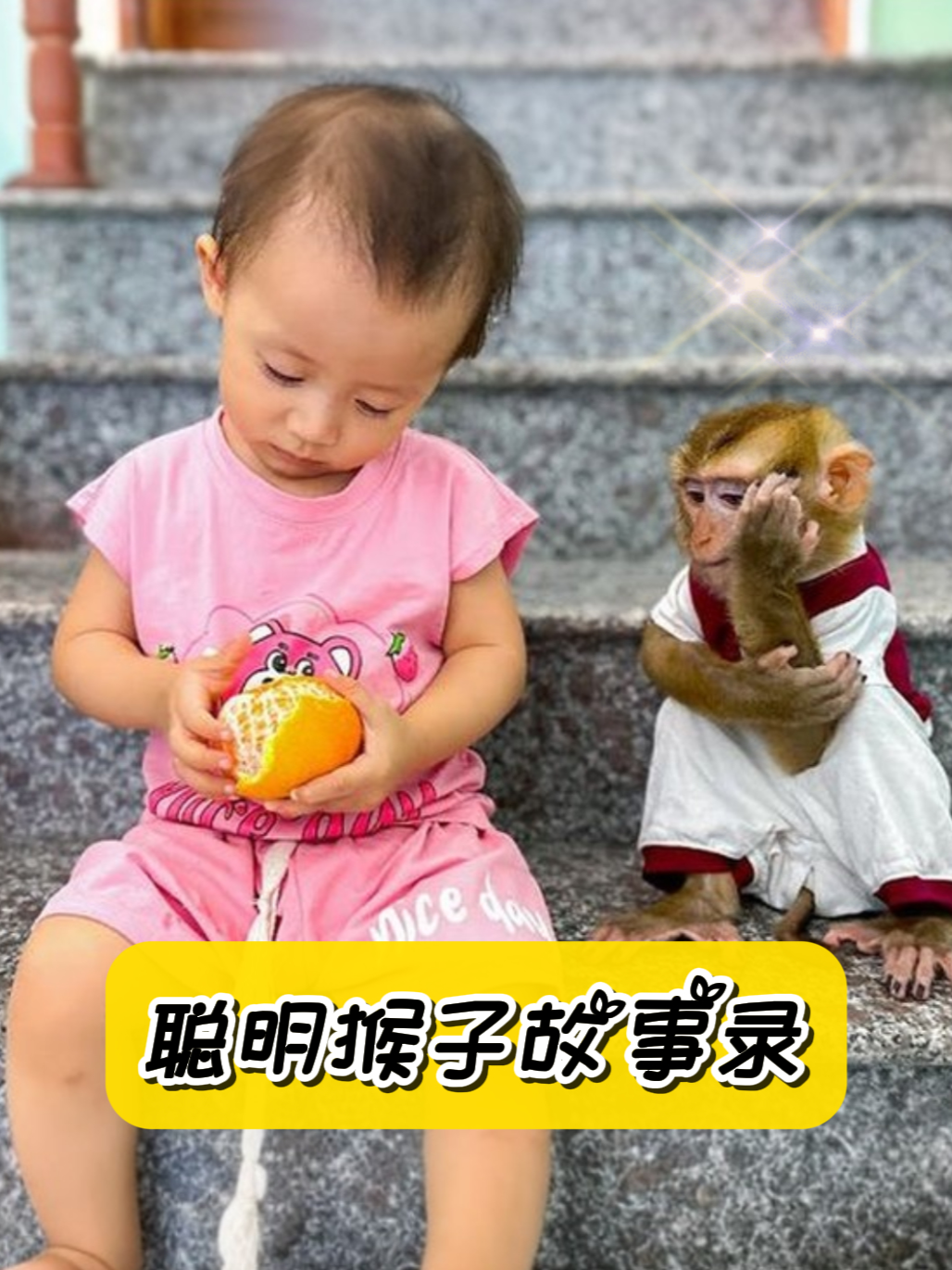 聪明猴子故事录