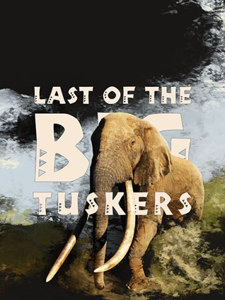 真人性感无遮拦视频