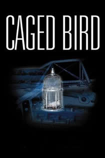 聊斋艳谭电影完整版